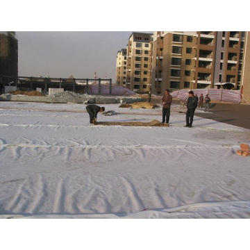 Geotextile Membrane